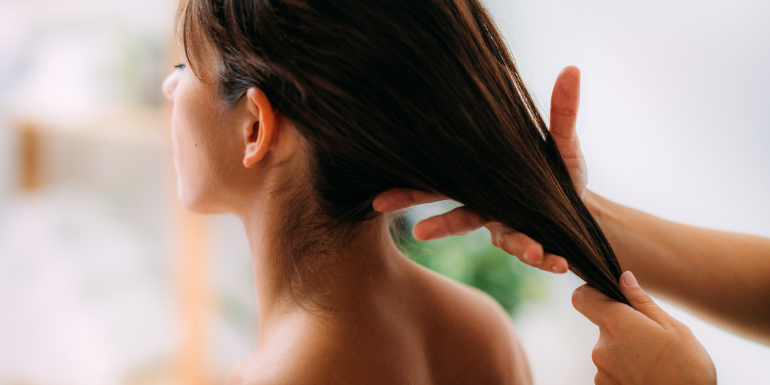 Jojoba: The Hair Care Essential You Didn’t Know You Needed