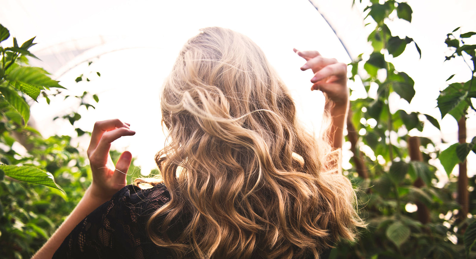 The Best Ways to Use Jojoba For Your Hair