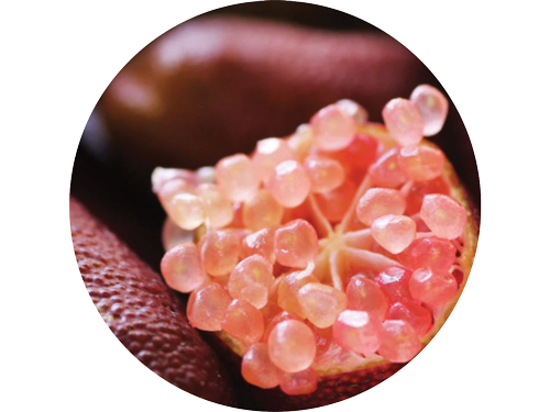 Close-up of a pomegranate segment with arils, circular crop, on dark background.