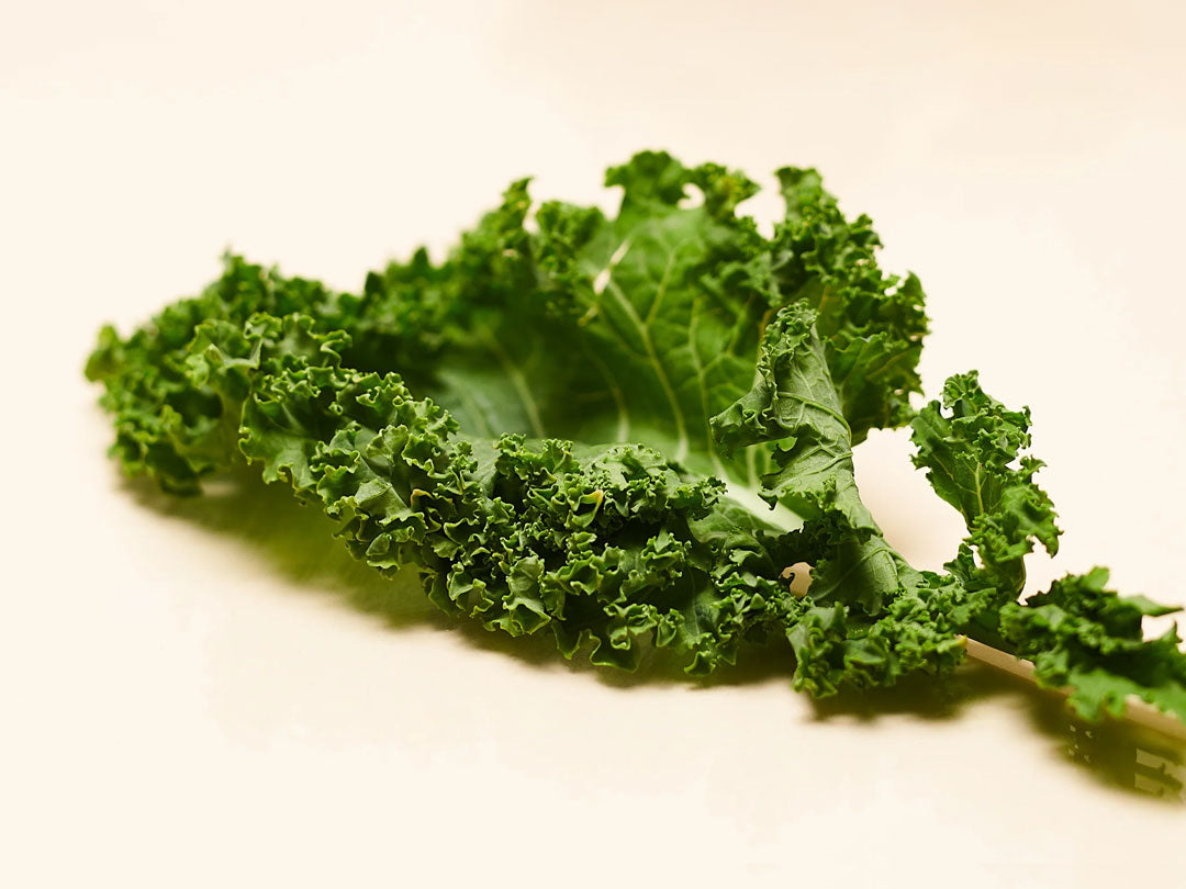 Fresh green kale leaf on a light background.