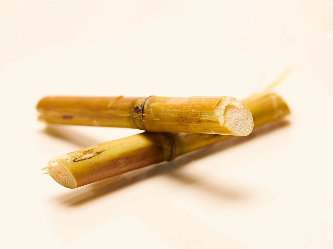 Two pieces of sugar cane on a light background.