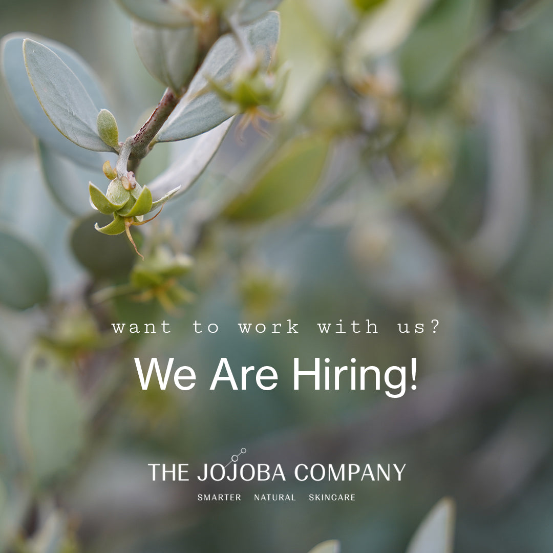 Job recruitment ad: "We Are Hiring" by THE JOJOBA COMPANY, with a blurred plant background.