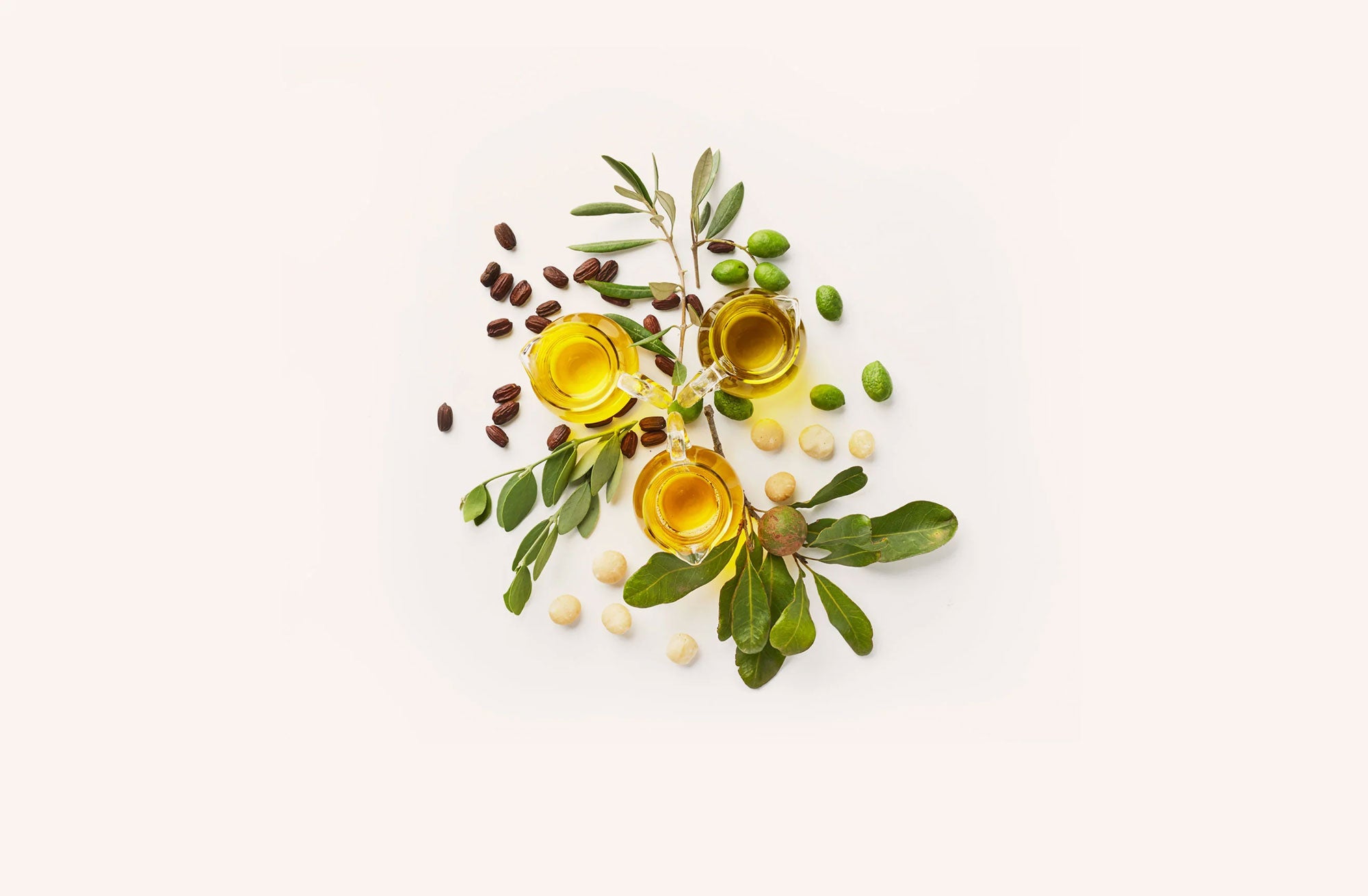 Three small bowls of olive oil with olives, leaves, and nuts on a white background.