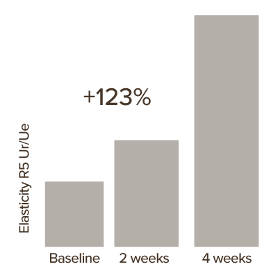 Bar chart showing three increasing values; 5% for Books, 20% for E-books, and 62% for Articles.